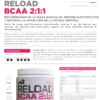 informacion-reload-bcaa BCAA RELOAD ENA 2:1:1