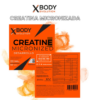 CREATINA MICRONIZADA XBODY 300 GRAMOS